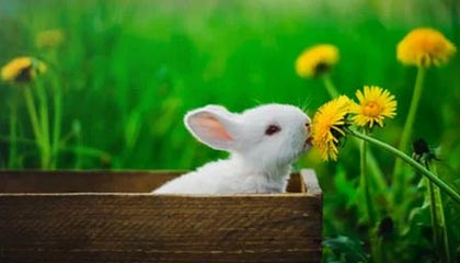 九游体育官网-斯诺克威尔士公开赛：赵心童4-3范争一晋级32强